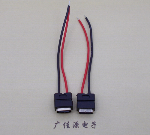 鄂州type c2p防水母座焊线式带线注塑成型带接线端子/不带接线端子充电连接器