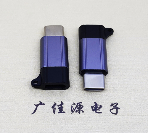 鄂州Type-C母转Type-C公 USB3.1 PD100W快冲接口